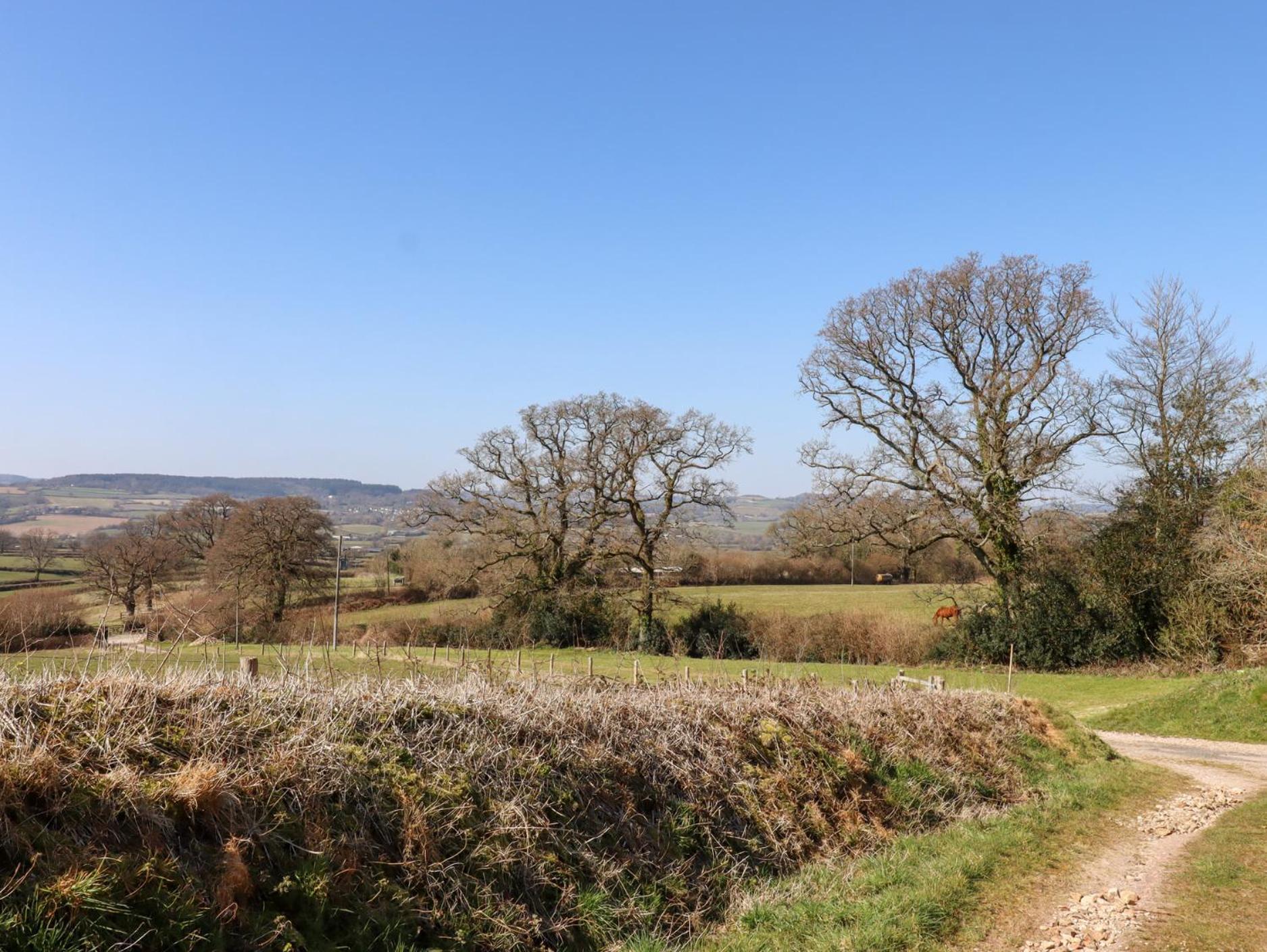 Villa The Shippon Axminster Esterno foto